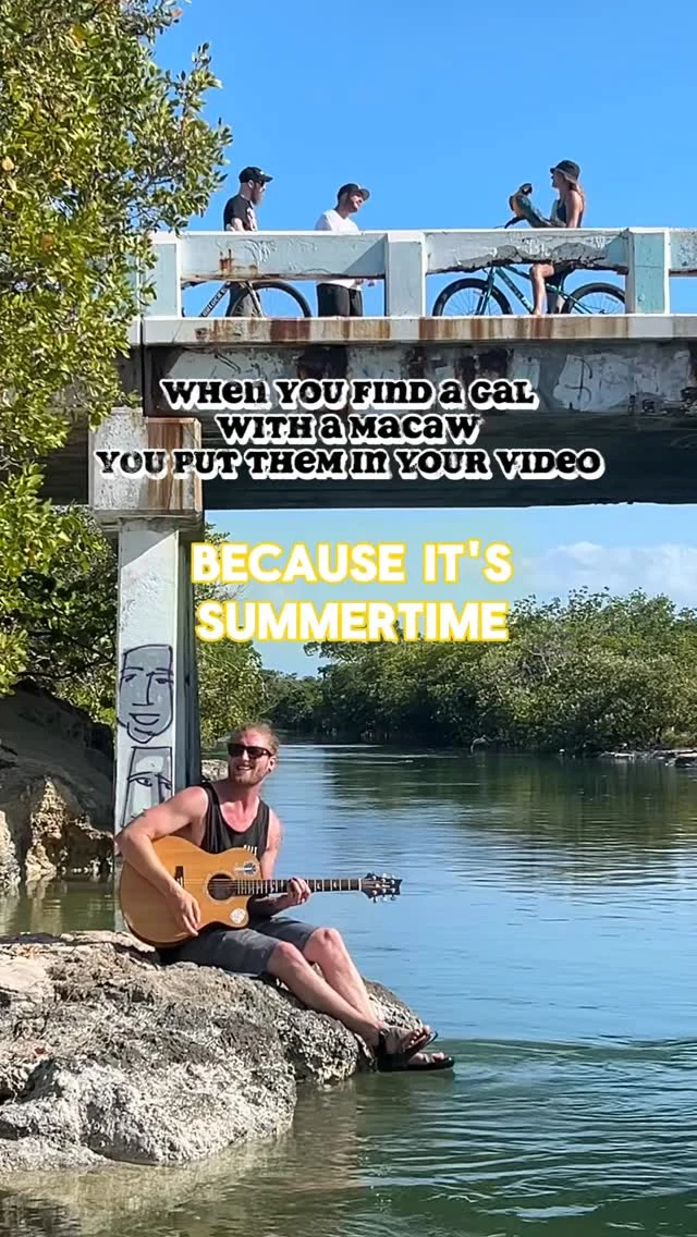 Reggae rock summer banger in full effect 🦜

#rockstead #reggae #reggaerock #reggaevibes #summertime #summervibes